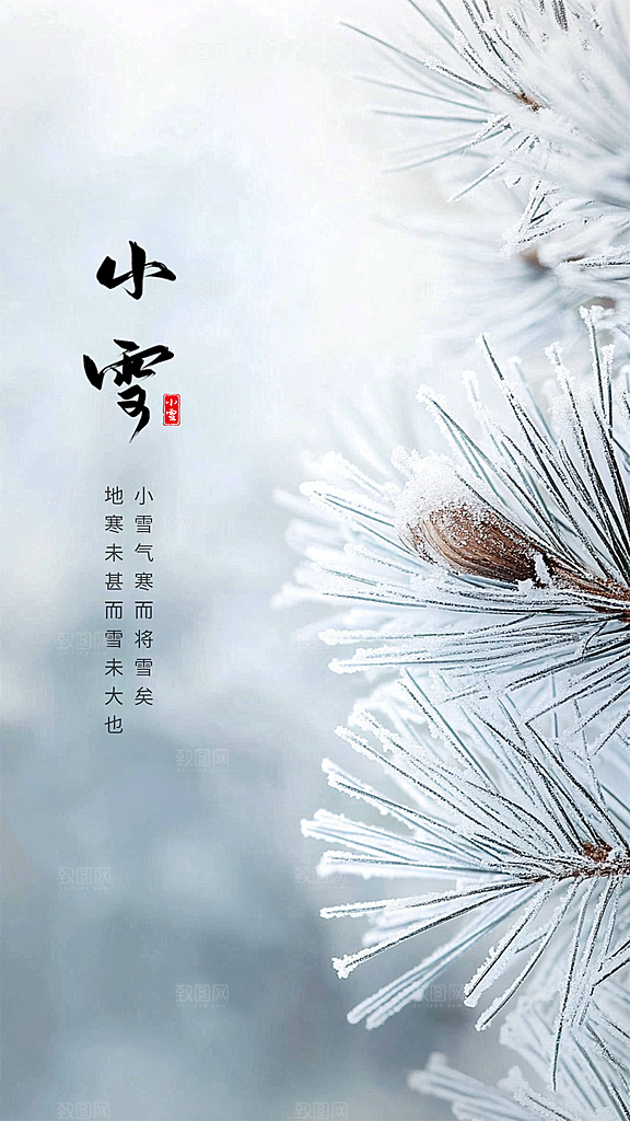 小雪创意唯美节气简约大气节日海报