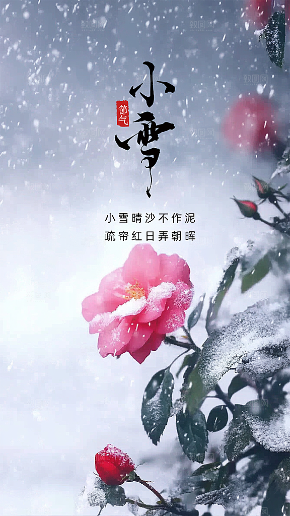 小雪简约唯美创意节日大气节气海报