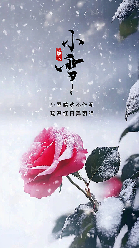 小雪简约唯美创意节日大气节气海报