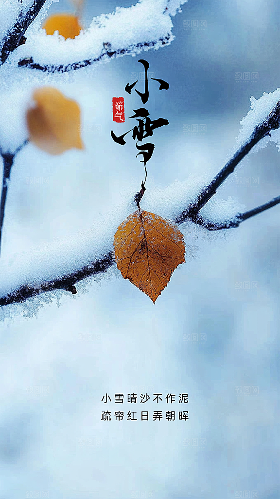 小雪唯美大气简约节气创意节日海报