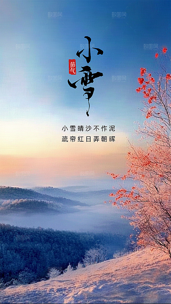 小雪唯美简约节气大气节日创意海报