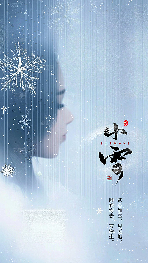 小雪简约创意节气节日大气唯美海报