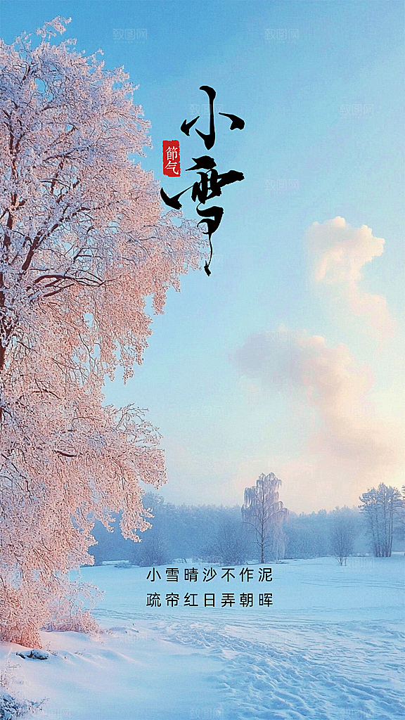 小雪节气节日唯美大气创意简约海报