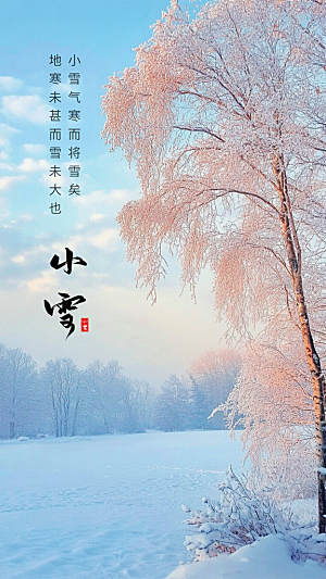 小雪节气节日唯美大气创意简约海报
