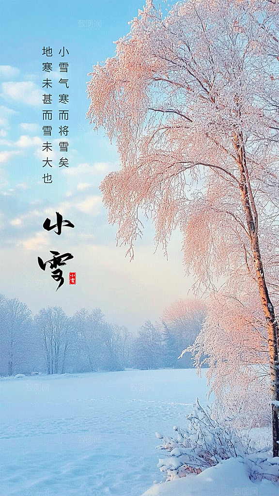 小雪节气节日唯美大气创意简约海报