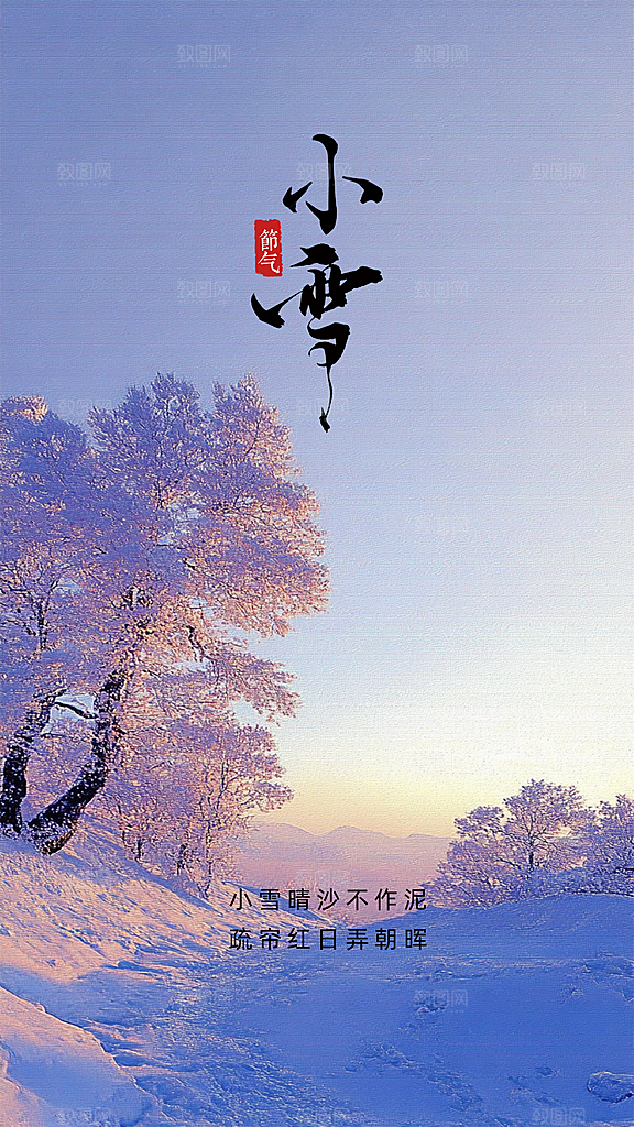 小雪创意节气唯美简约大气节日海报