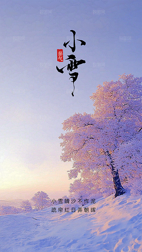 小雪创意大气节日唯美简约节气海报