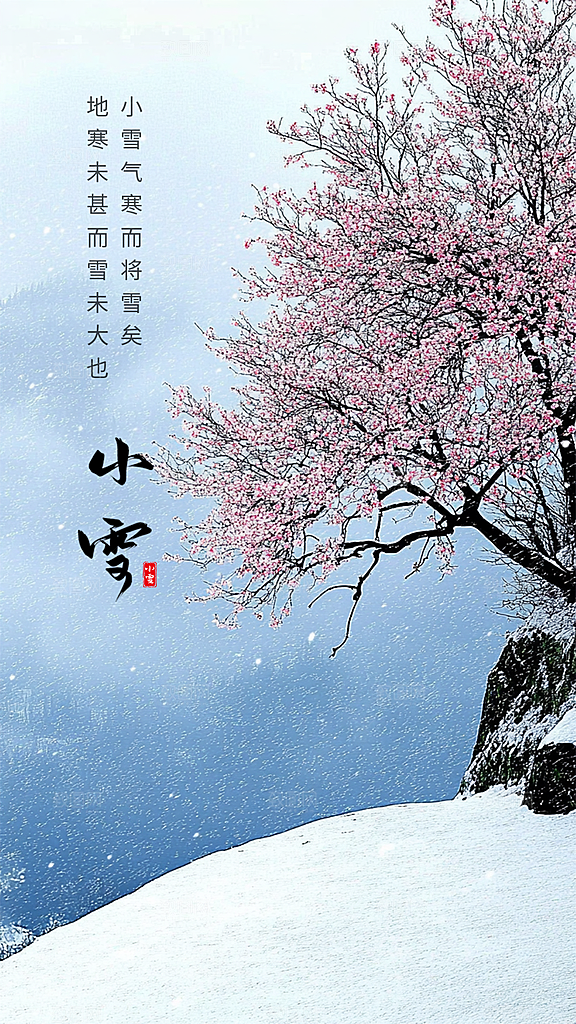 小雪创意大气节日唯美简约节气海报