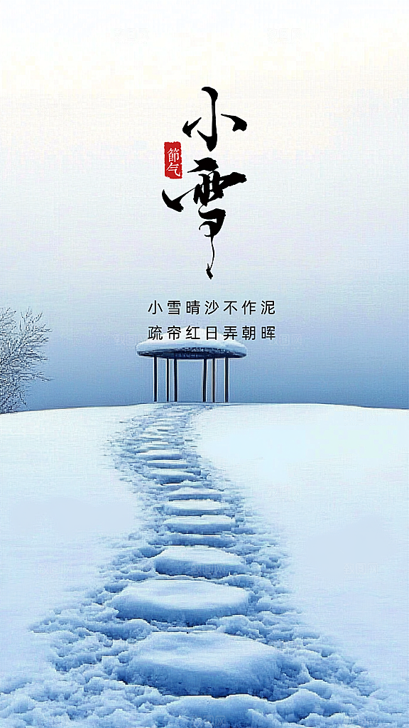 小雪创意大气节日唯美简约节气海报