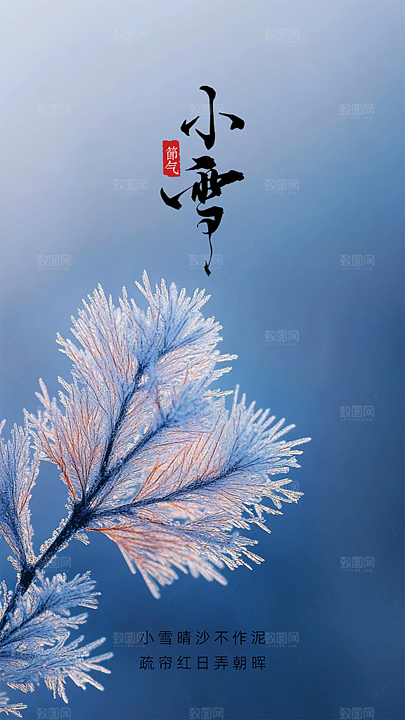 小雪节日节气大气创意唯美简约海报