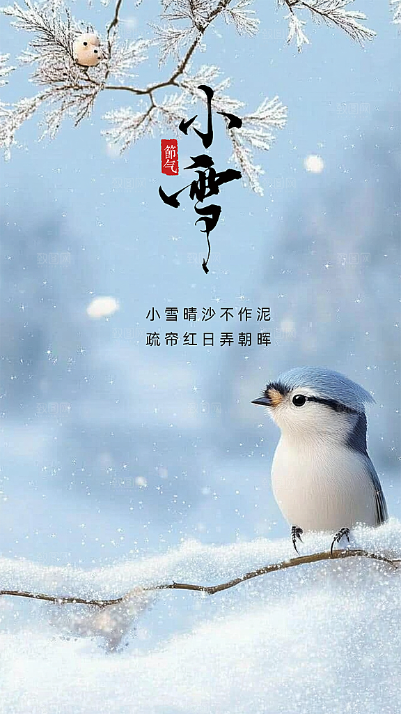 小雪节日节气大气创意唯美简约海报
