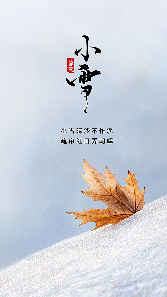 小雪节日节气大气创意唯美简约海报