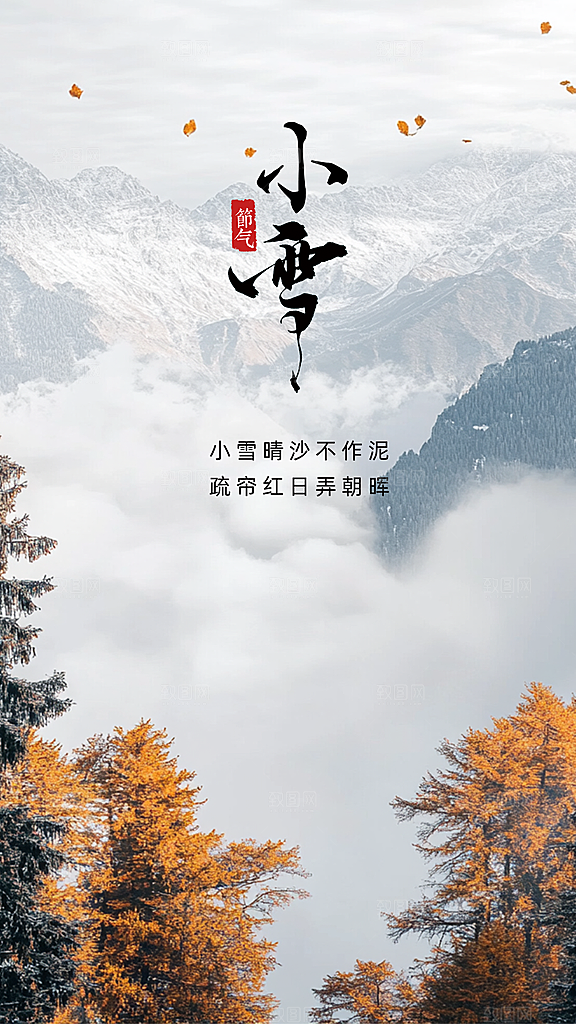 小雪节日大气创意简约唯美节气海报