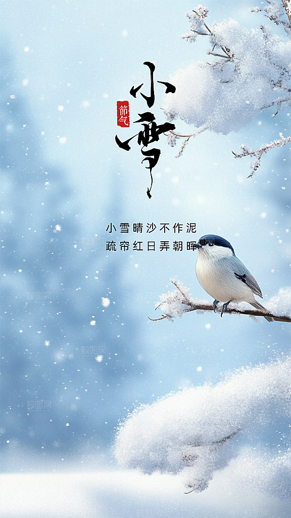 小雪简约大气节日节气创意唯美海报