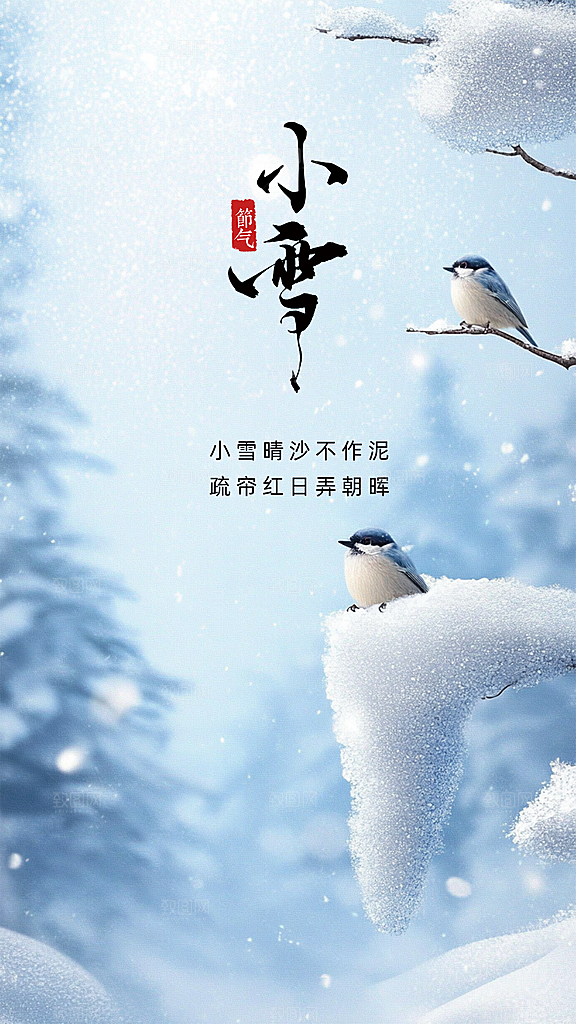 小雪创意节日节气简约大气唯美海报