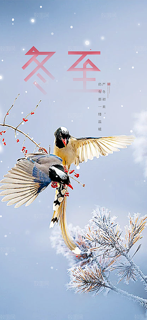 节气冬至宣传活动海报
