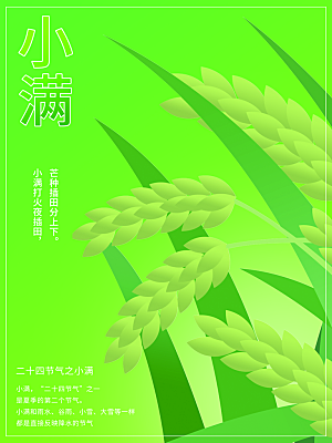 小满节气简约大气海报
