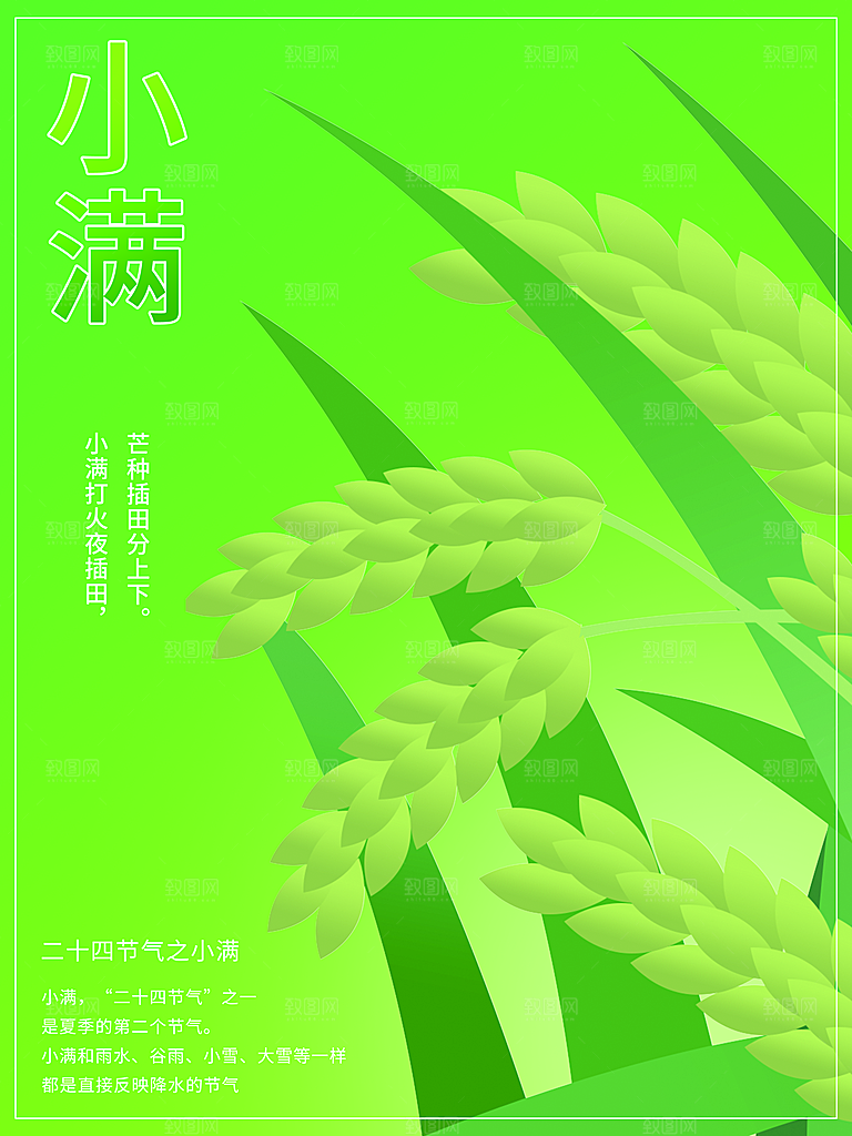 小满节气简约大气海报