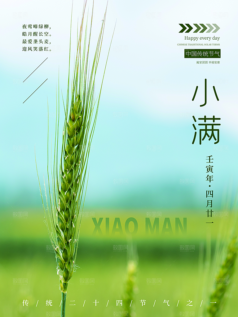 小满节气简约大气海报
