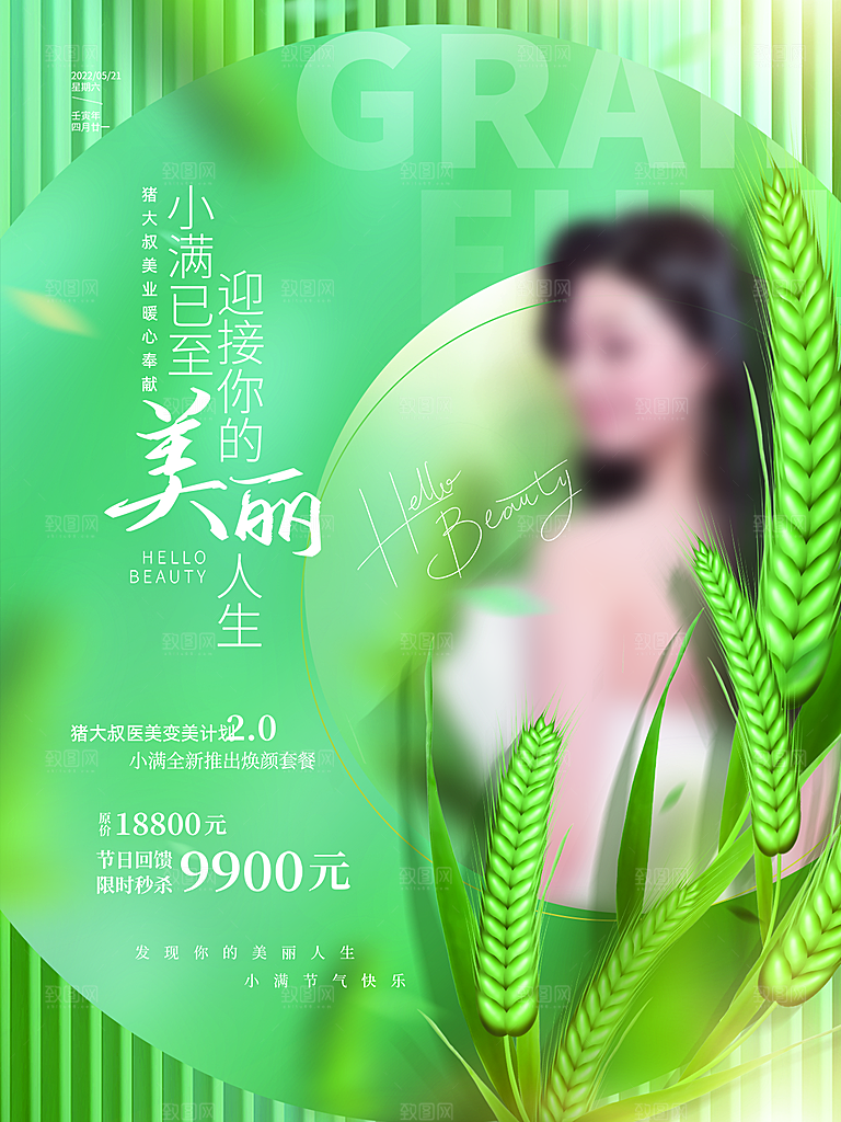小满节气简约大气海报