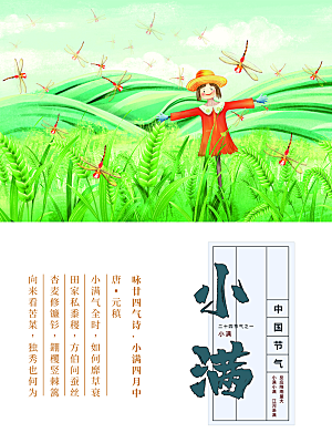 传统节气小满海报模版