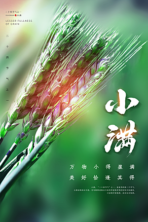 传统节气小满海报模版