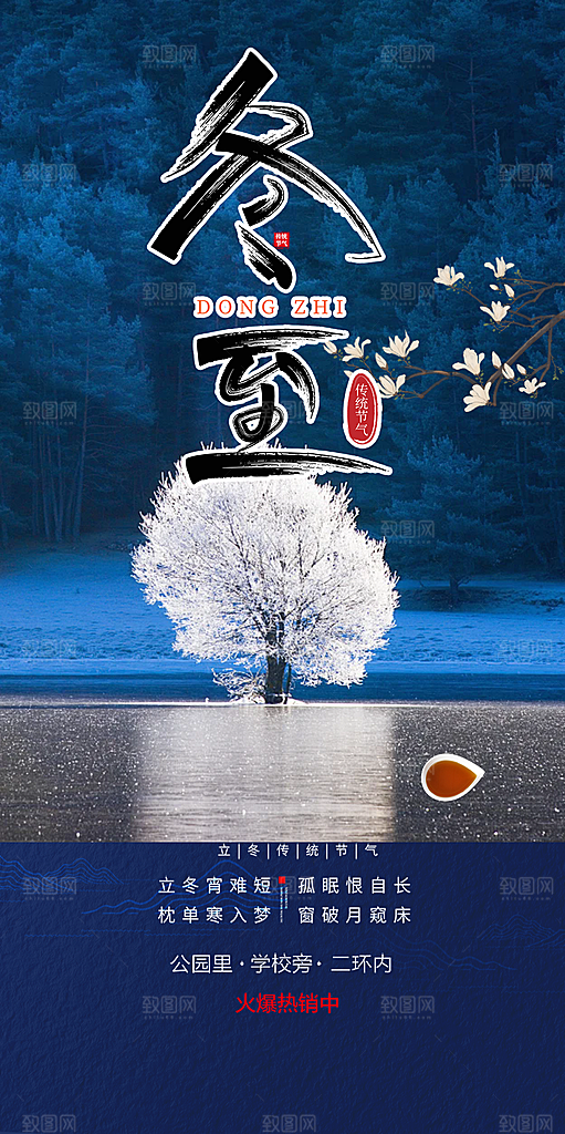 二十四节气冬至宣传活动海报