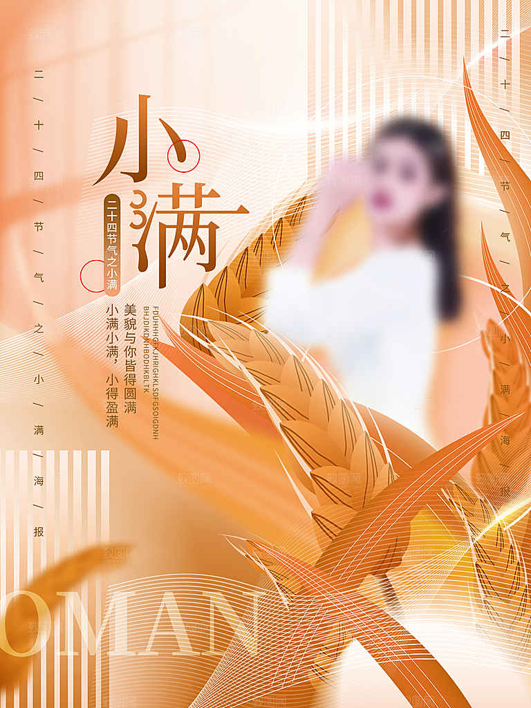 小满节气简约大气海报