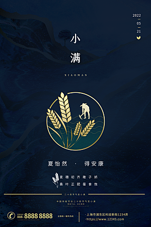 小满节气简约大气海报