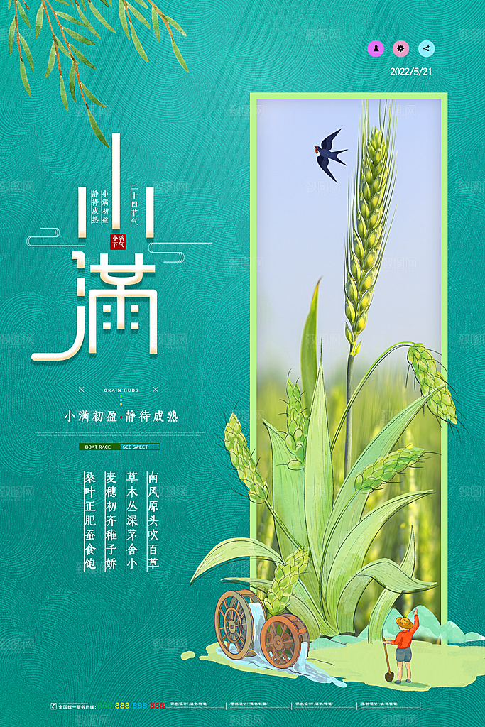 小满节气简约大气海报