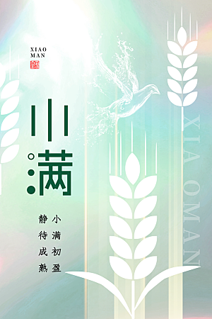 小满节气简约大气海报