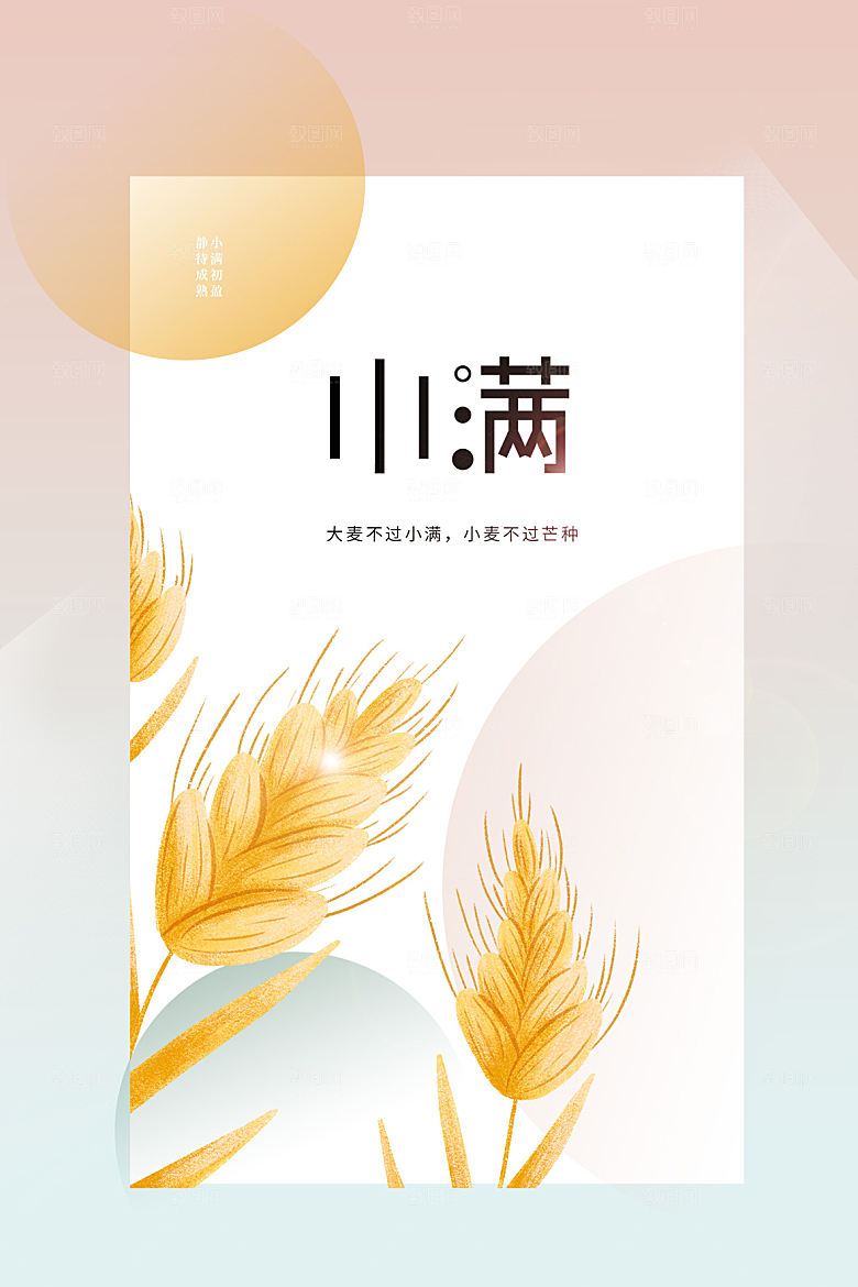 小满节气简约大气海报