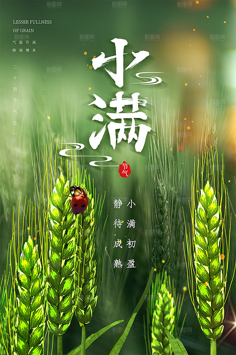 小满节气简约大气海报