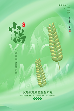传统节气小满海报模版