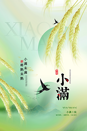 传统节气小满海报模版