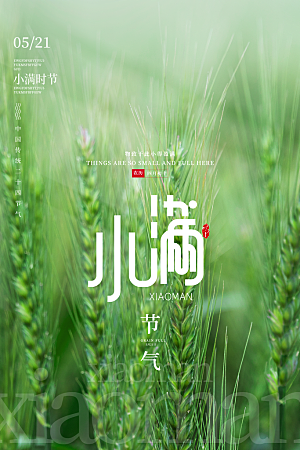 小满节气简约大气海报