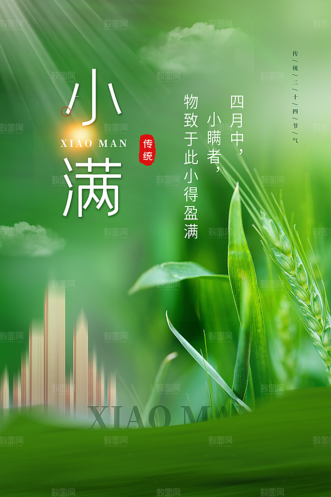小满节气简约大气海报