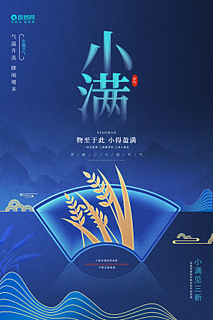 小满节气简约大气海报