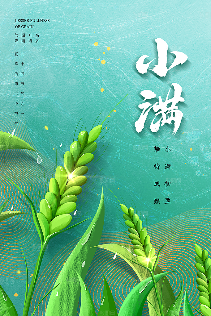 小满节气简约大气海报