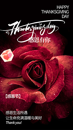 节日过节感恩节活动宣传海报