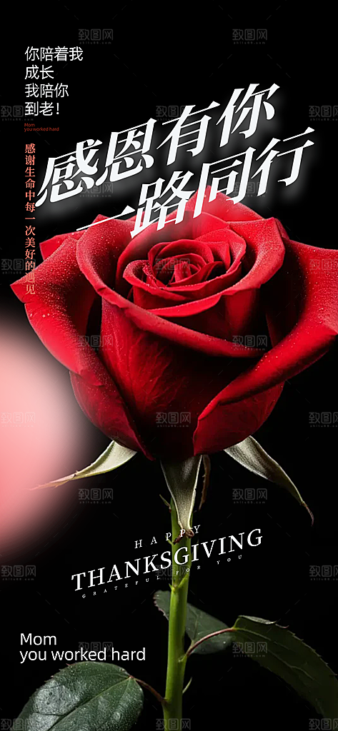 节日过节感恩节海报