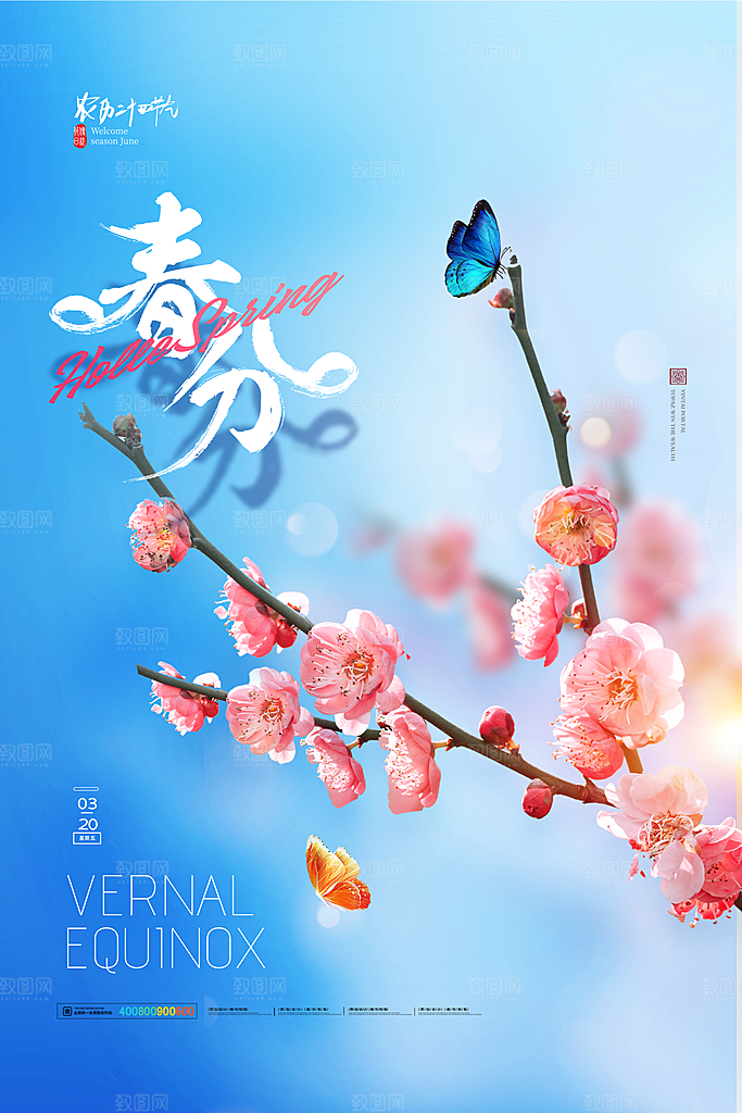 中国传统二十四节气春分节气宣传海报