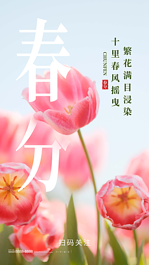 中国传统二十四节气春分节气宣传海报