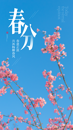 中国传统二十四节气春分节气宣传海报