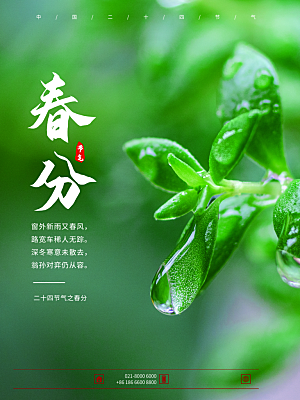 中国传统二十四节气春分节气宣传海报