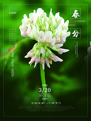 中国传统二十四节气春分节气宣传海报