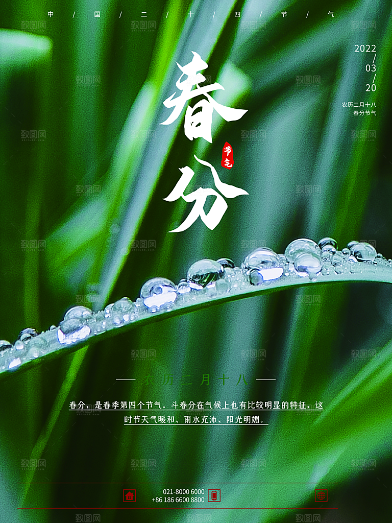 中国传统二十四节气春分节气宣传海报