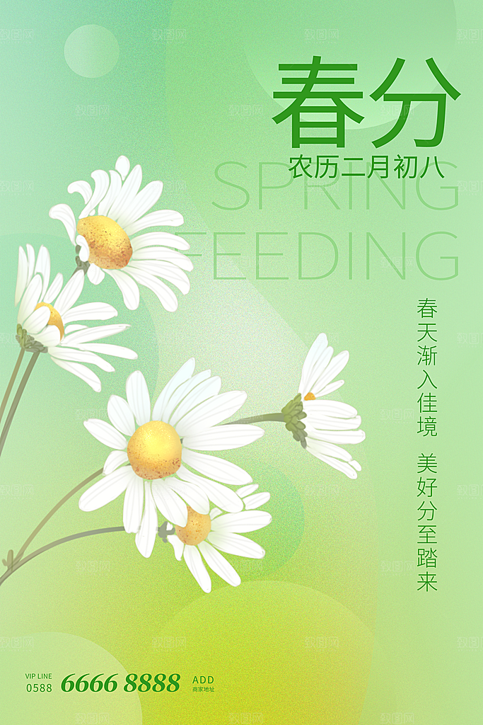 中国传统二十四节气春分节气宣传海报