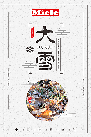 传统节气大雪海报模版