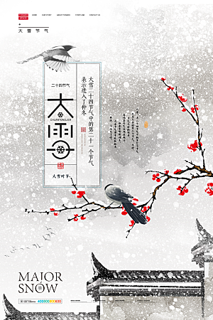 大雪节气简约大气海报